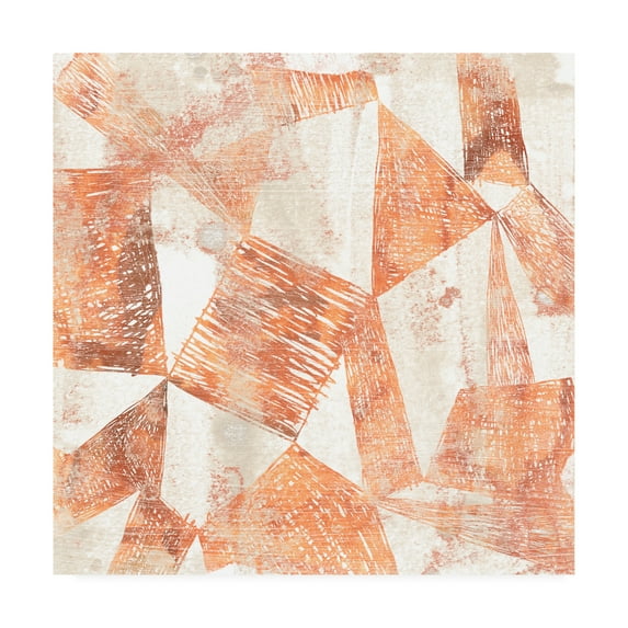 Trademark Fine Art 'Red Earth Textile II' Canvas Art by June Erica Vess