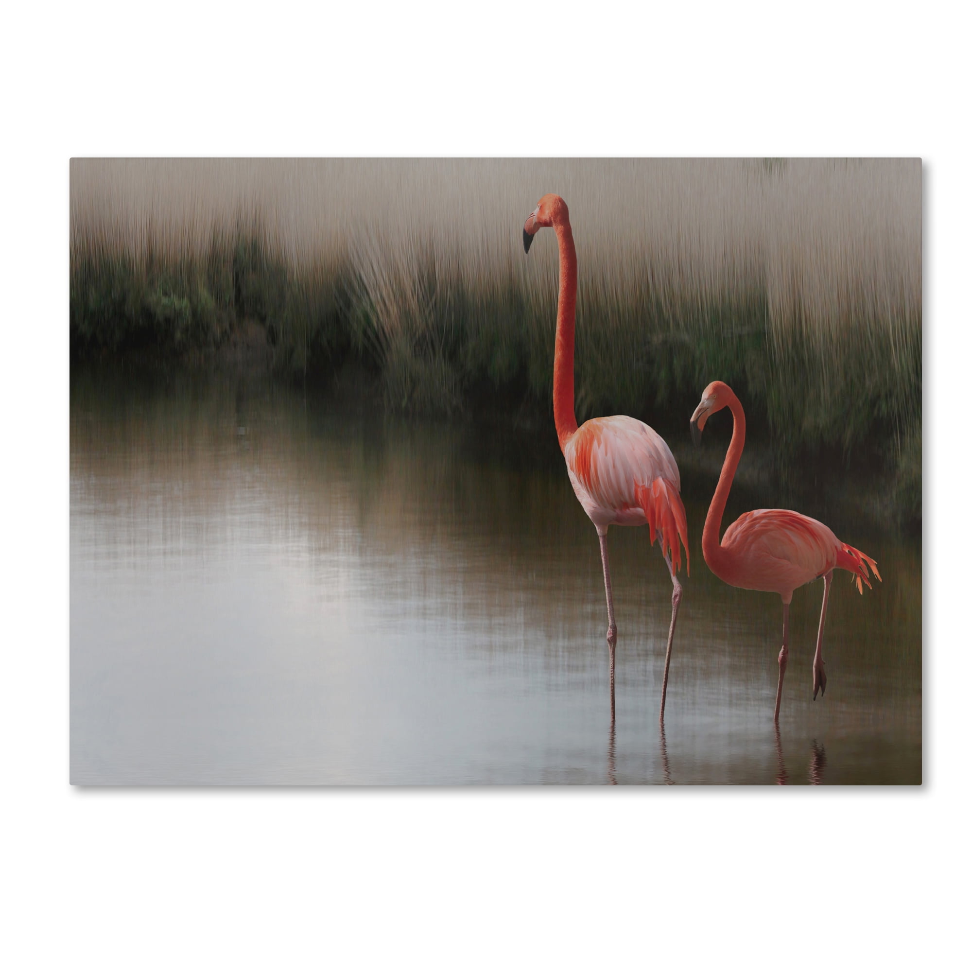 Anna Cseresnjes Red Flamingo Canvas Art, 15x20