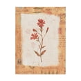thumbnail image 1 of Trademark Fine Art 'Red Flower Rustic' Canvas Art by Hope Street Designs, 1 of 3