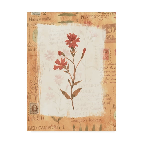 Trademark Fine Art 'Red Flower Rustic' Canvas Art by Hope Street Designs