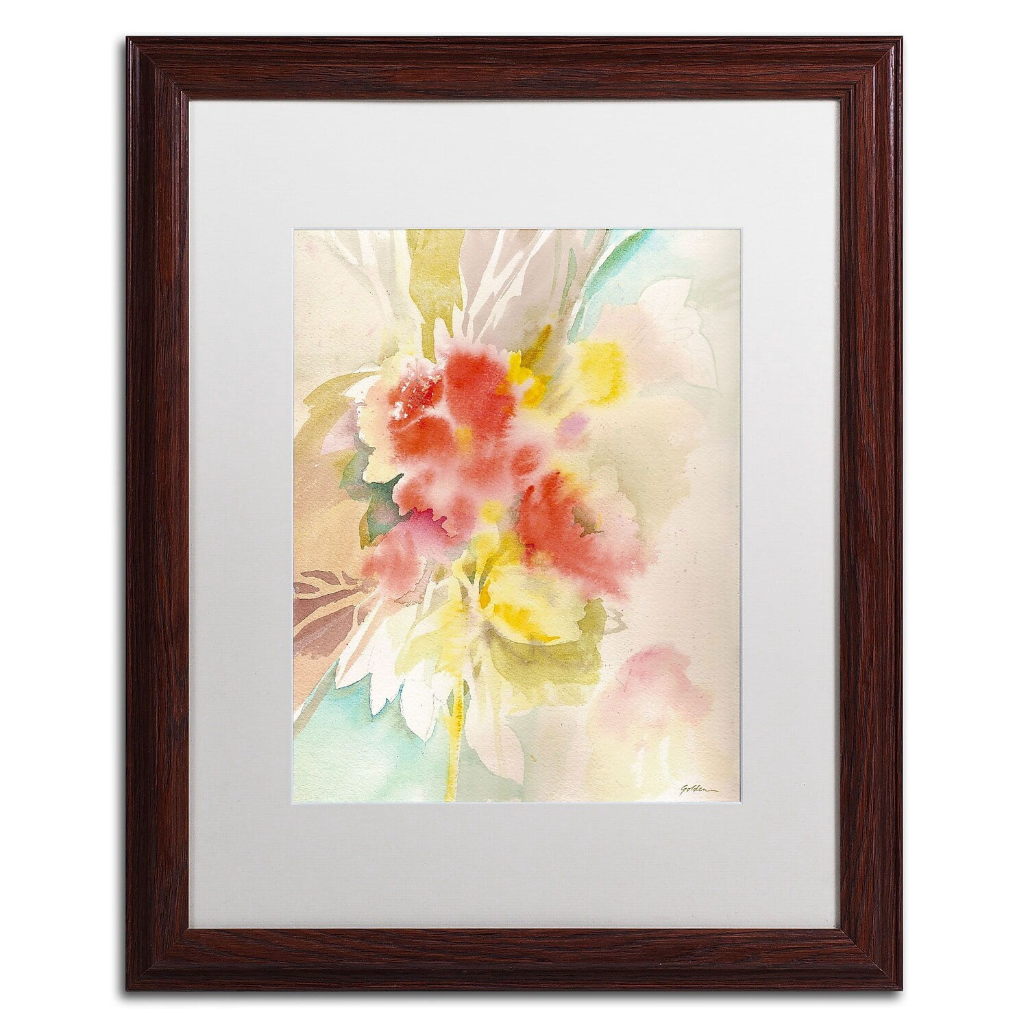 Trademark Fine Art "Red Flower Shadows" Canvas Art by Sheila Golden, White Matte, Wood Frame