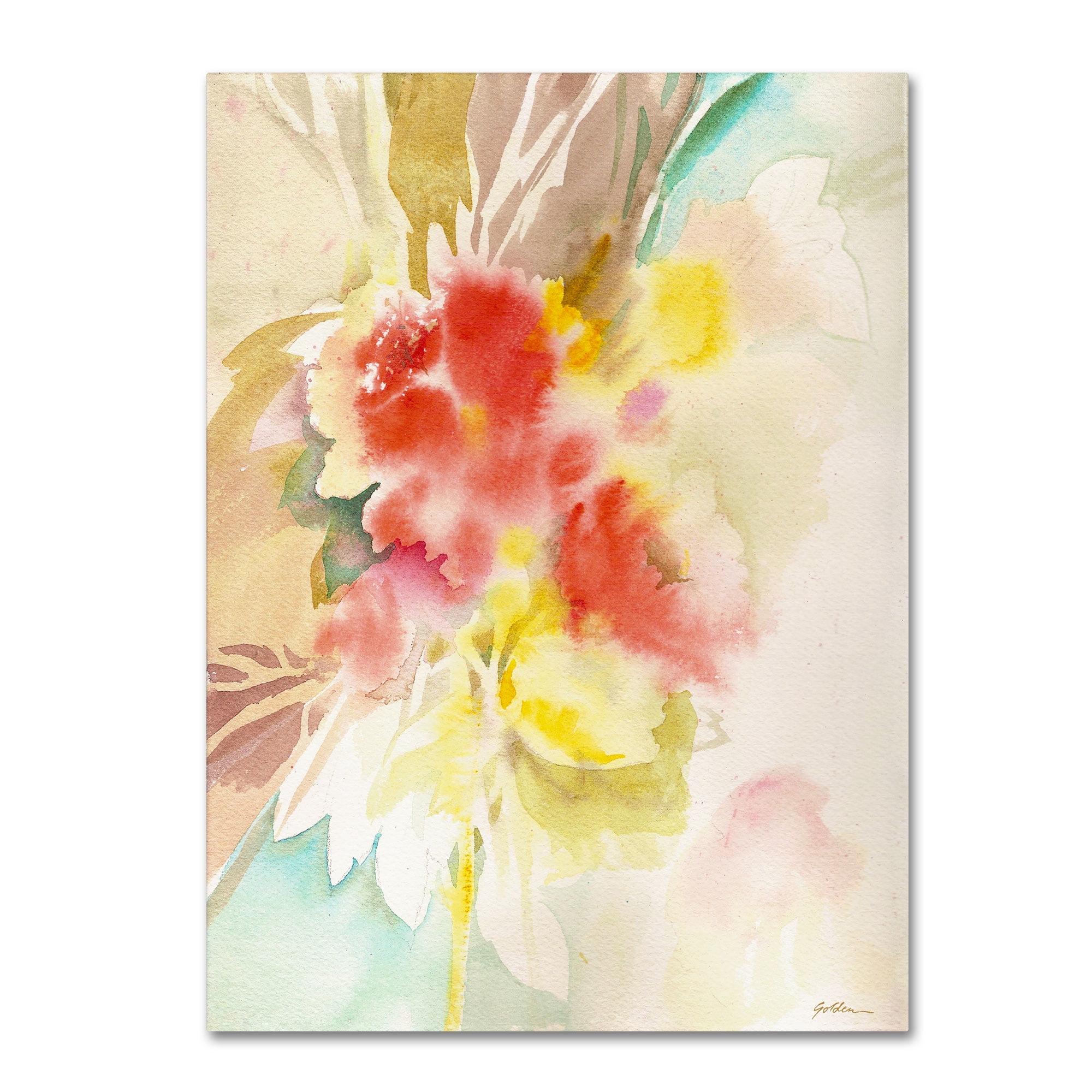 Trademark Fine Art "Red Flower Shadows" Canvas Art by Sheila Golden
