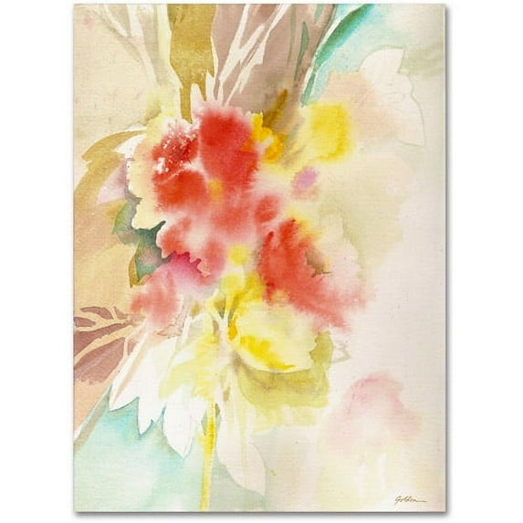 Trademark Fine Art "Red Flower Shadows" Canvas Art by Sheila Golden