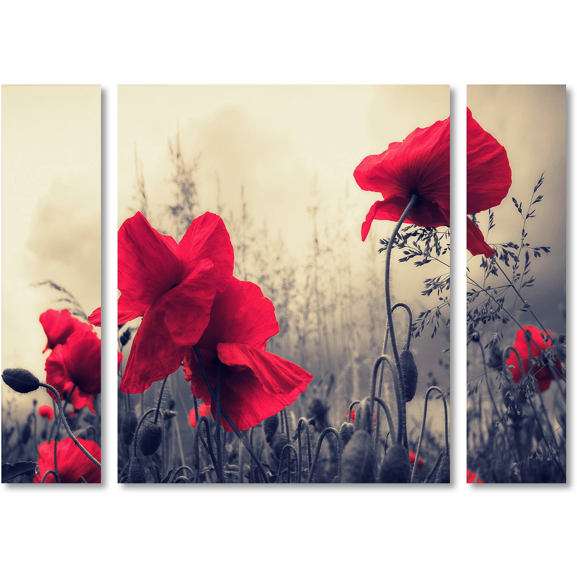 Trademark Fine Art "Red For Love" Canvas Art by Philippe Sainte-Laudy Three Panel Set