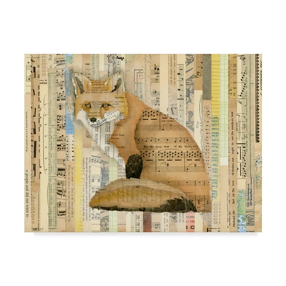 Trademark Fine Art 'Red Fox Collage II' Canvas Art by Nikki Galapon