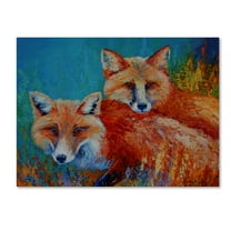 Trademark Fine Art 'Red Foxes' Canvas Art by Marion Rose