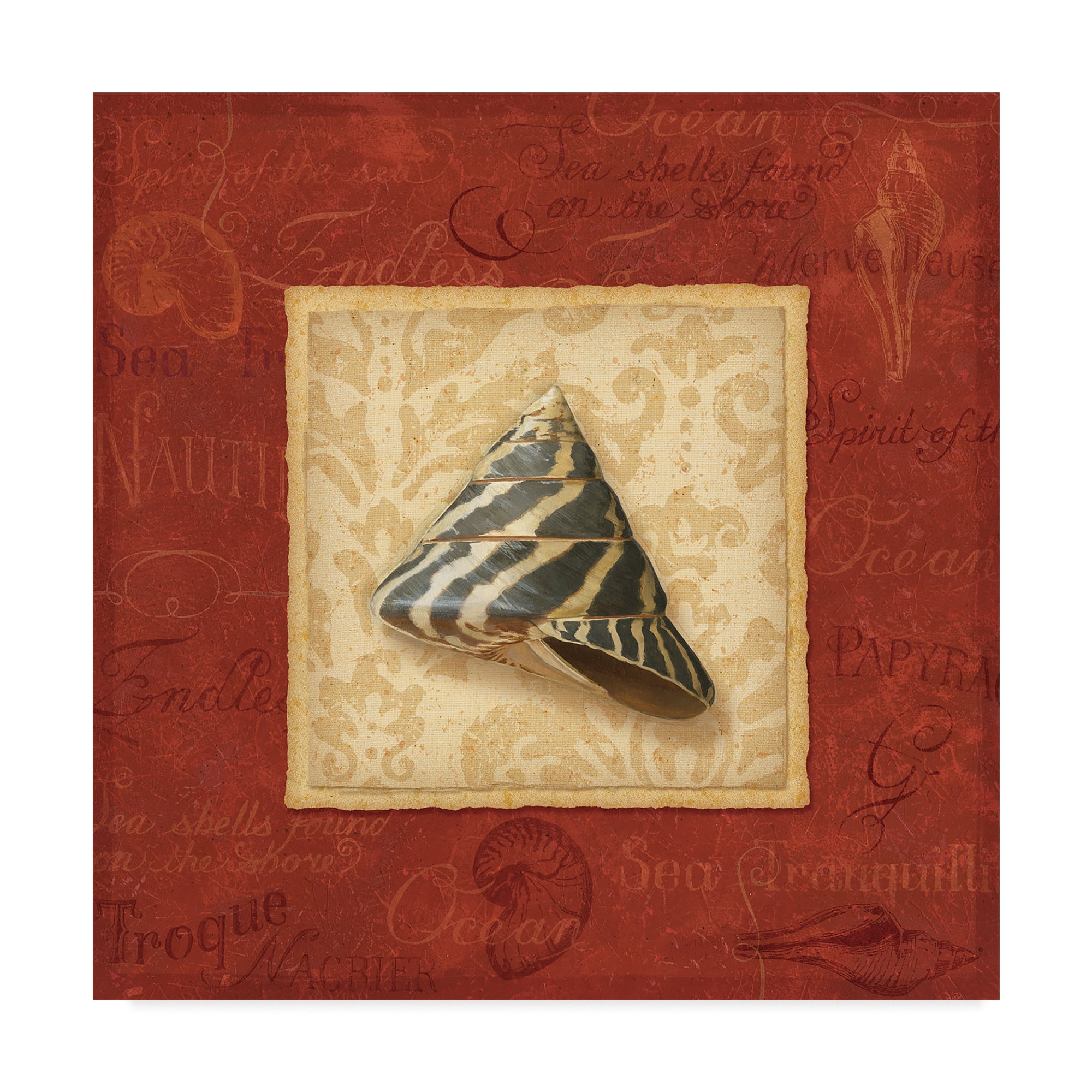 Trademark Fine Art 'Red Frame Shell II' Canvas Art by Lisa Audit
