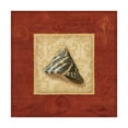thumbnail image 1 of Trademark Fine Art 'Red Frame Shell II' Canvas Art by Lisa Audit, 1 of 3