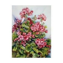 Trademark Fine Art 'Red Geranium' Canvas Art by Joanne Porter