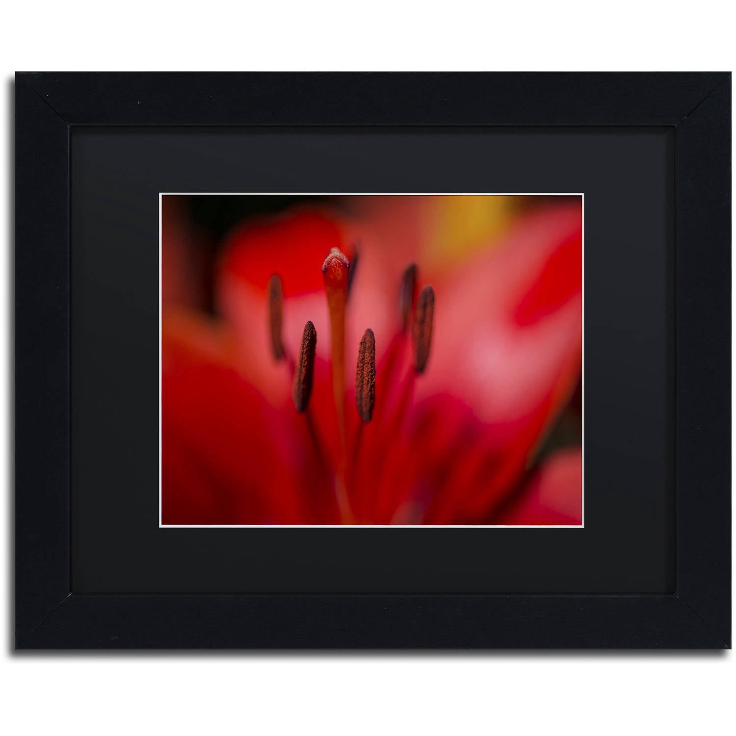 Trademark Fine Art "Red Lily Pistils" Canvas Art by Kurt Shaffer, Black Matte, Black Frame
