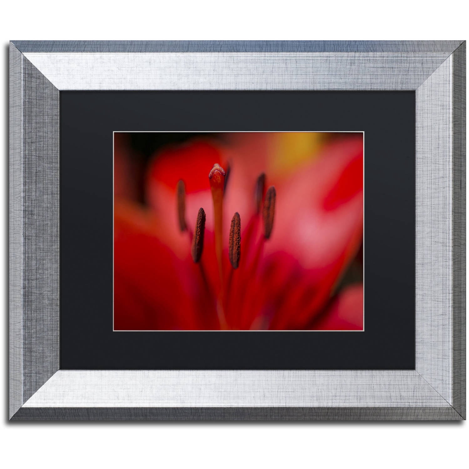 Trademark Fine Art "Red Lily Pistils" Canvas Art by Kurt Shaffer, Black Matte, Silver Frame