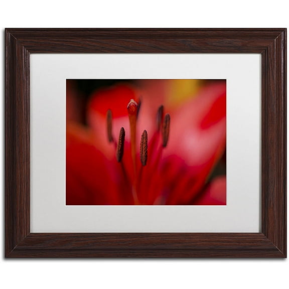 Trademark Fine Art "Red Lily Pistils" Canvas Art by Kurt Shaffer, White Matte, Wood Frame