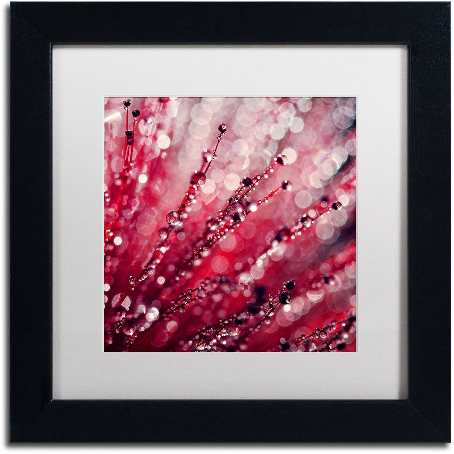 Trademark Fine Art "Red Melody" Canvas Art by Beata Czyzowska Young, White Matte, Black Frame