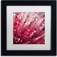 thumbnail image 1 of Trademark Fine Art "Red Melody" Canvas Art by Beata Czyzowska Young, White Matte, Black Frame, 1 of 4
