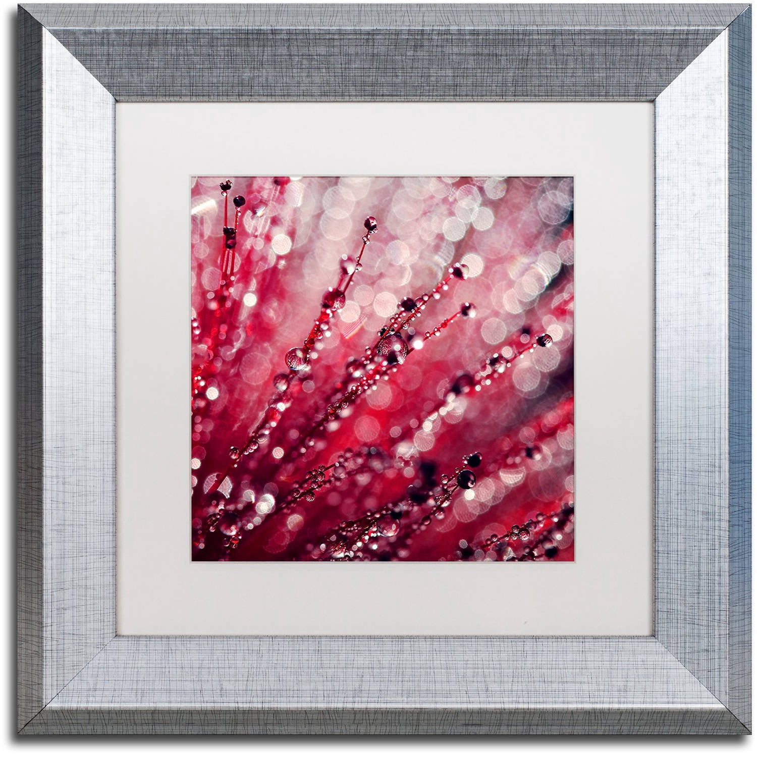 Trademark Fine Art "Red Melody" Canvas Art by Beata Czyzowska Young, White Matte, Silver Frame