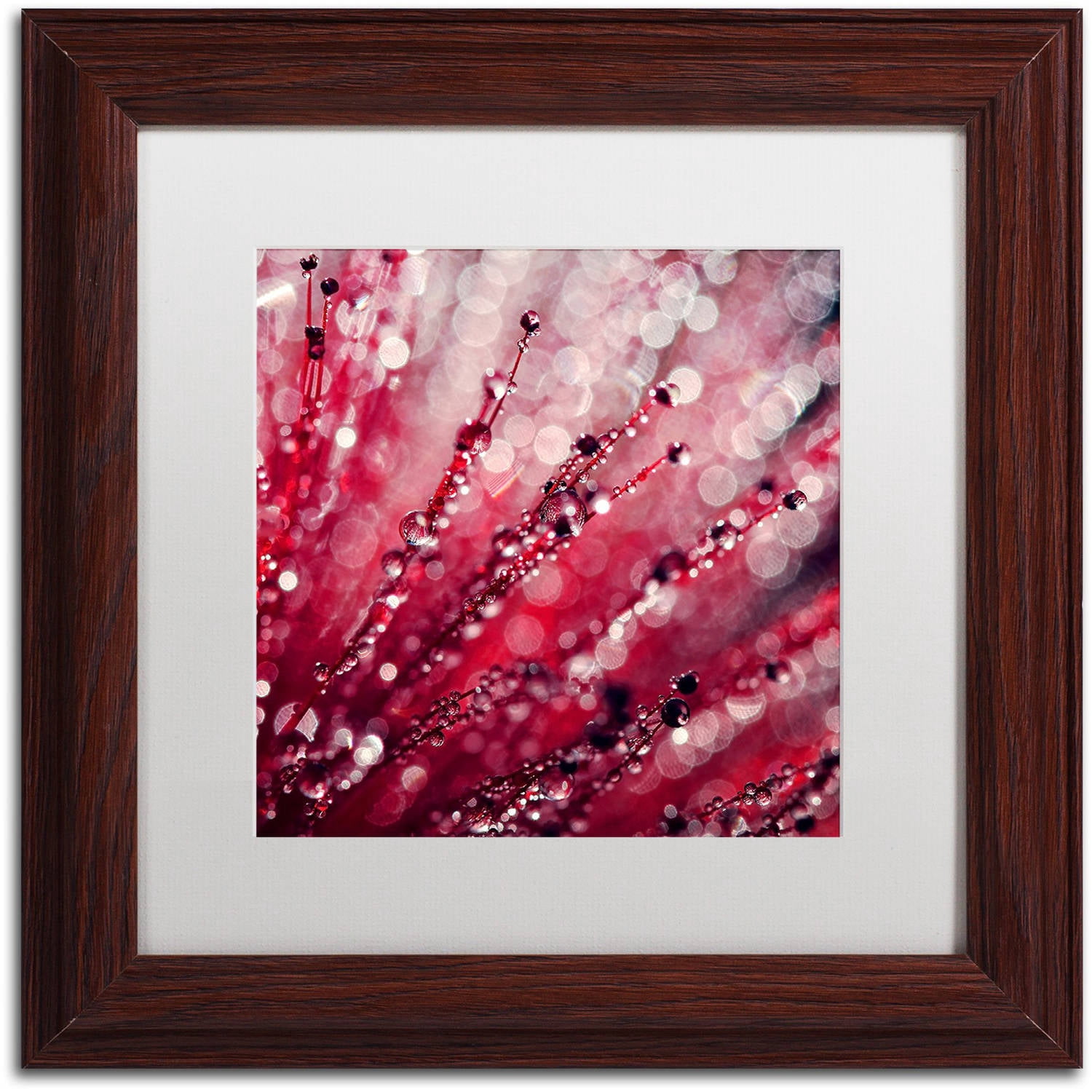 Trademark Fine Art "Red Melody" Canvas Art by Beata Czyzowska Young, White Matte, Wood Frame