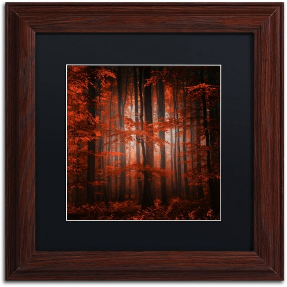 Trademark Fine Art "Red Parallel Universe" Canvas Art by Philippe Sainte-Laudy Black Matte, Wood Frame