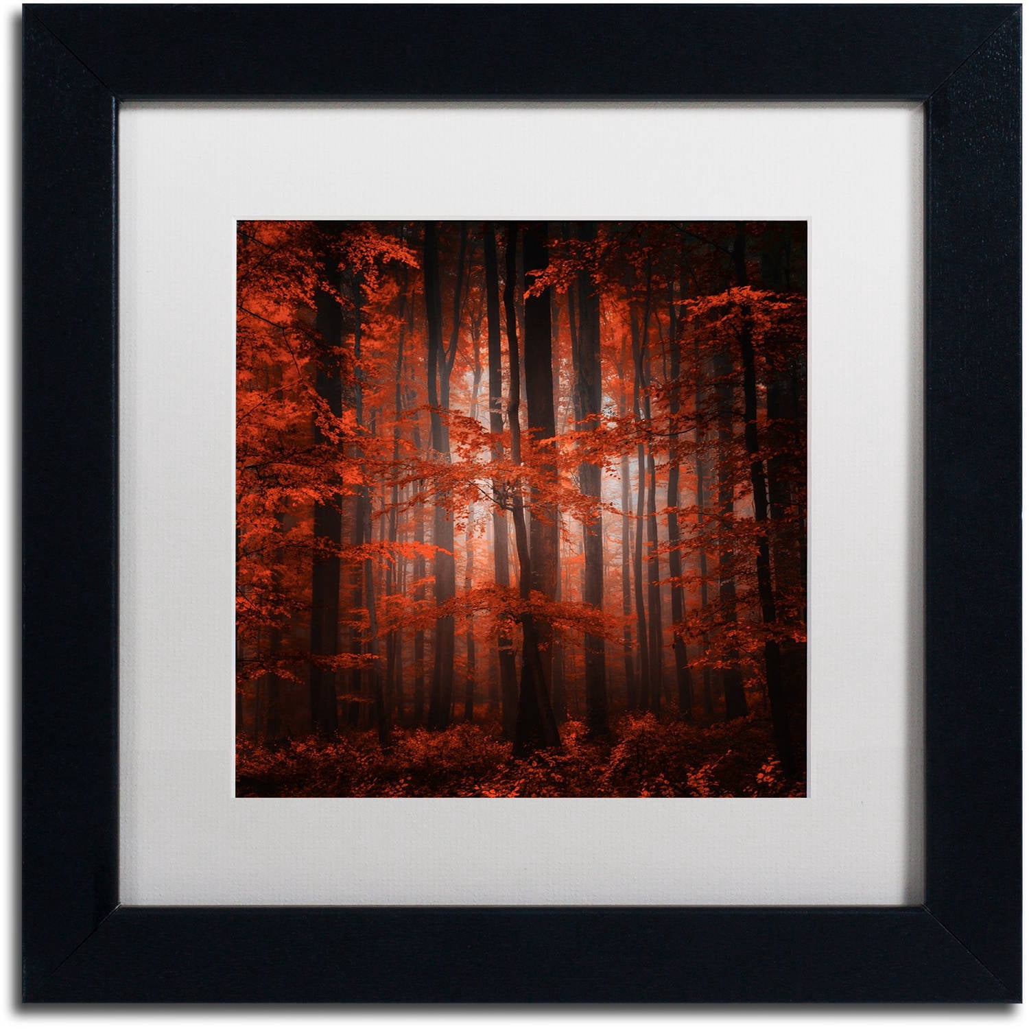 Trademark Fine Art "Red Parallel Universe" Canvas Art by Philippe Sainte-Laudy White Matte, Black Frame