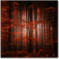 thumbnail image 1 of Trademark Fine Art "Red Parallel Universe" Canvas Art by Philippe Sainte-Laudy, 1 of 3
