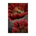 thumbnail image 1 of Trademark Fine Art 'Red Poppies 2' Canvas Art by Cherie Roe Dirksen, 1 of 3