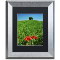 Trademark Fine Art 'Red Poppies and Oak' Canvas Art by Michael Blanchette Photography, Black Matte, Silver Frame
