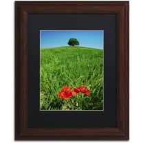 Trademark Fine Art 'Red Poppies and Oak' Canvas Art by Michael Blanchette Photography, Black Matte, Wood Frame