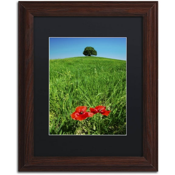 Trademark Fine Art 'Red Poppies and Oak' Canvas Art by Michael Blanchette Photography, Black Matte, Wood Frame