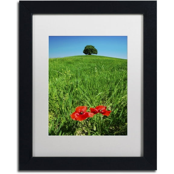 Trademark Fine Art 'Red Poppies and Oak' Canvas Art by Michael Blanchette Photography, White Matte, Black Frame