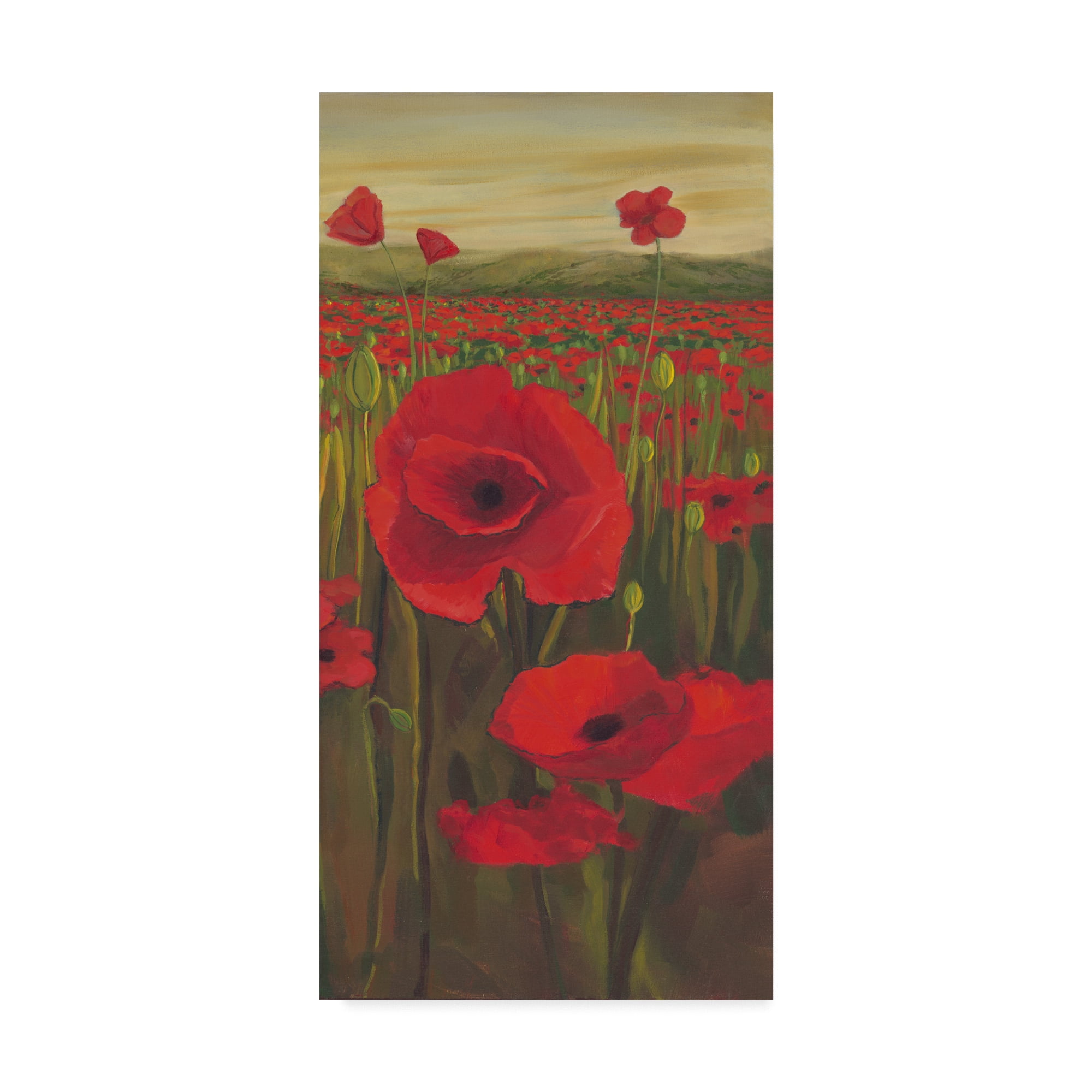 Trademark Fine Art 'Red Poppies in Field II' Canvas Art by Julie Joy