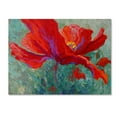thumbnail image 1 of Trademark Fine Art 'Red Poppy 1' Canvas Art by Marion Rose, 1 of 3