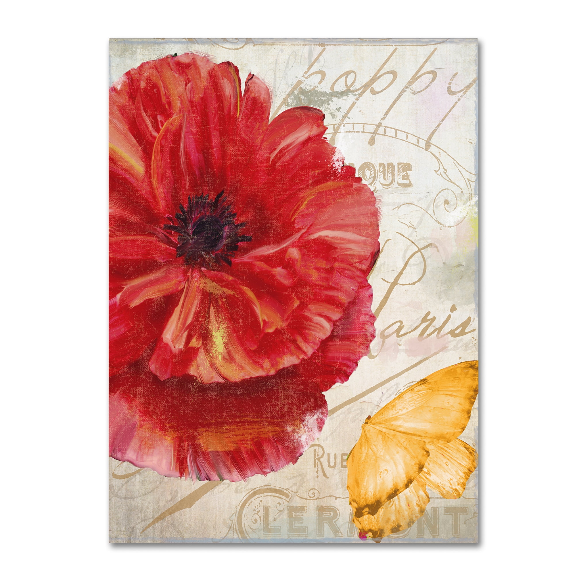 Trademark Fine Art "Red Poppy" Canvas Art by Color Bakery
