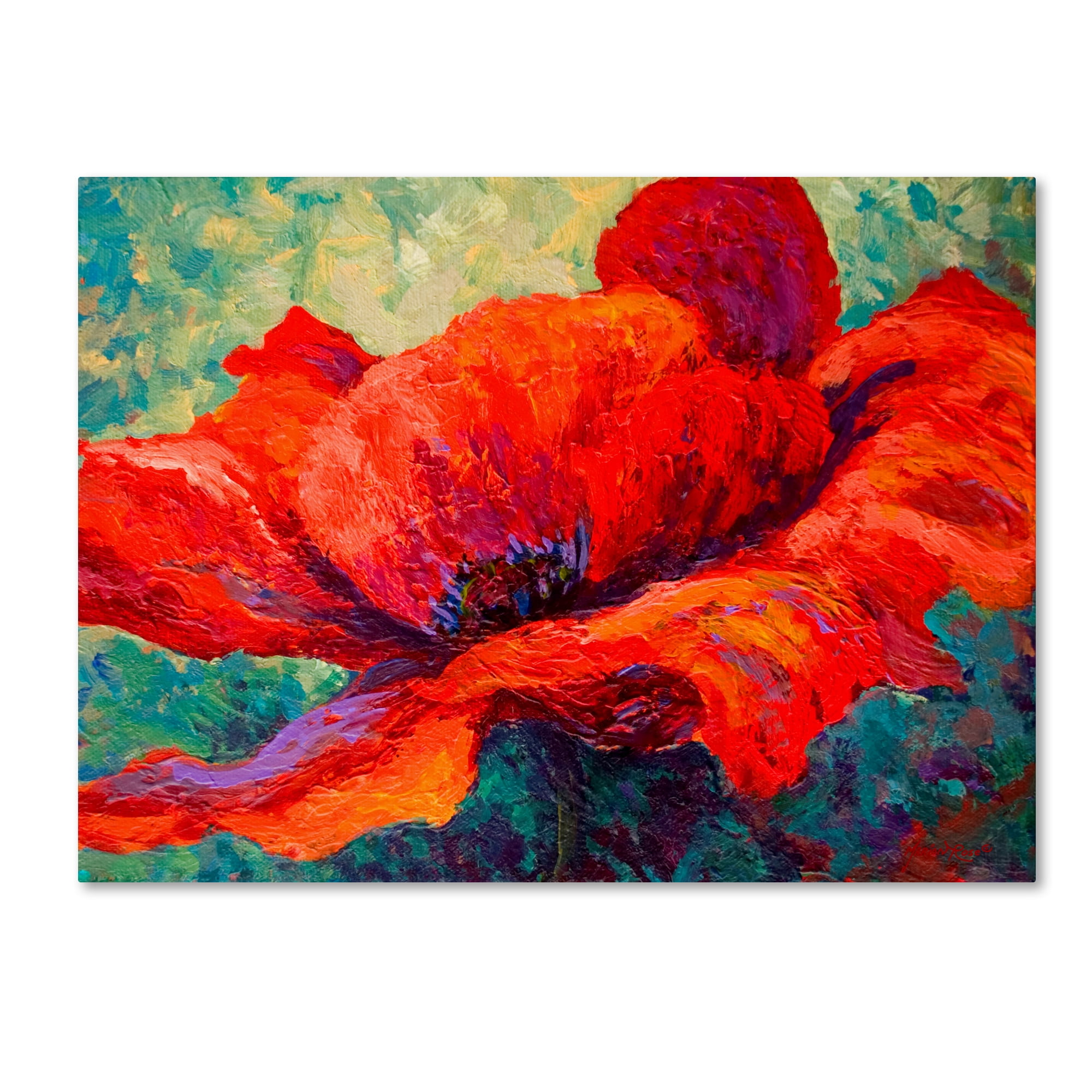 Vibrant Red Poppy Canvas Art by Marion Rose