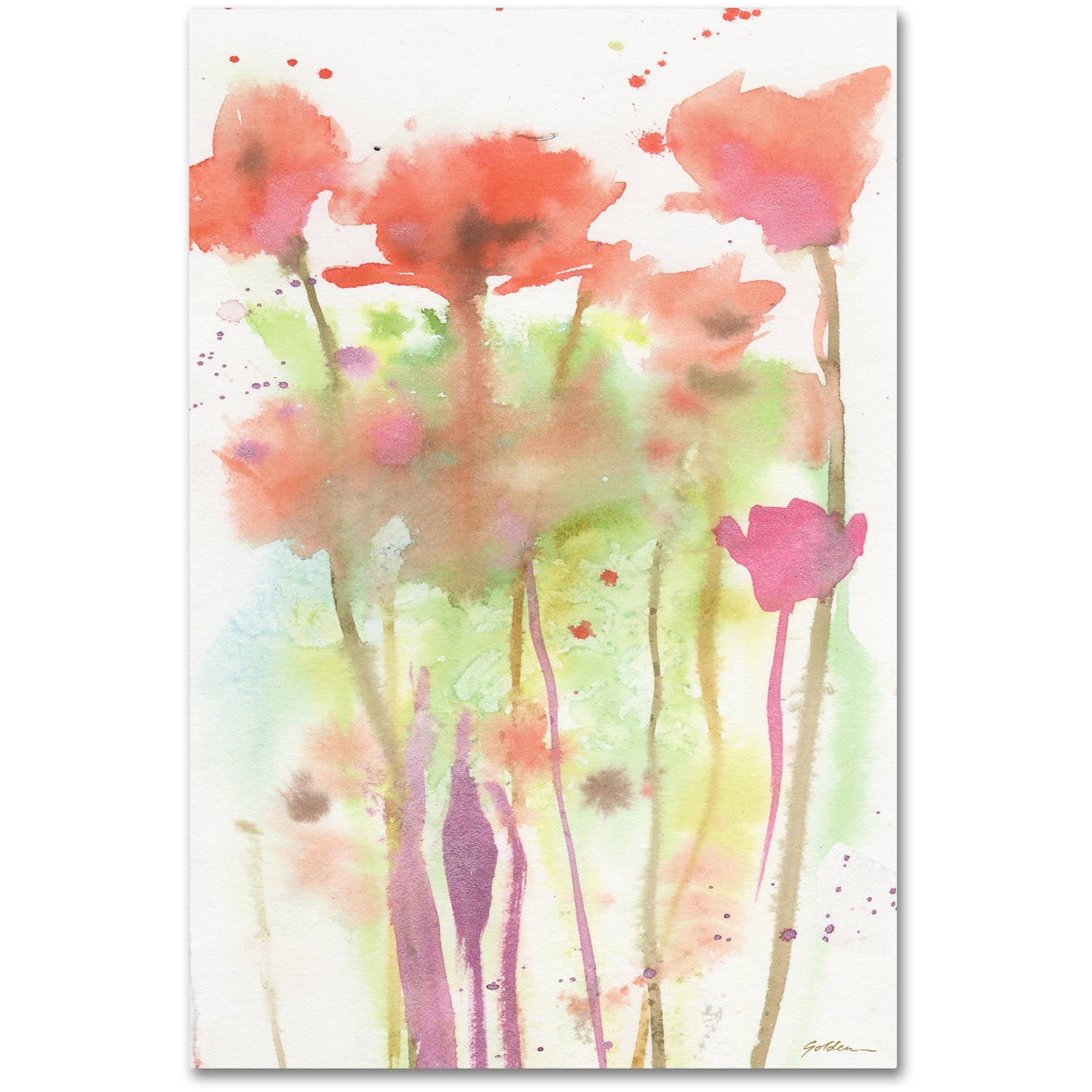 Trademark Fine Art "Red Poppy Impressions" Canvas Art by Sheila Golden
