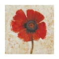 thumbnail image 1 of Trademark Fine Art 'Red Poppy Portrait I' Canvas Art by Tim OToole, 1 of 4