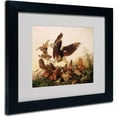 thumbnail image 1 of Trademark Fine Art John James Audubon Red-Shouldered Hawk 16" x 20" Framed Canvas Art Prints, 1 of 1