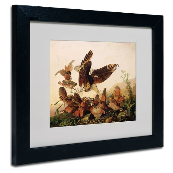 Trademark Fine Art "Red-Shouldered Hawk" Canvas Art by John James Audubon, Black Frame