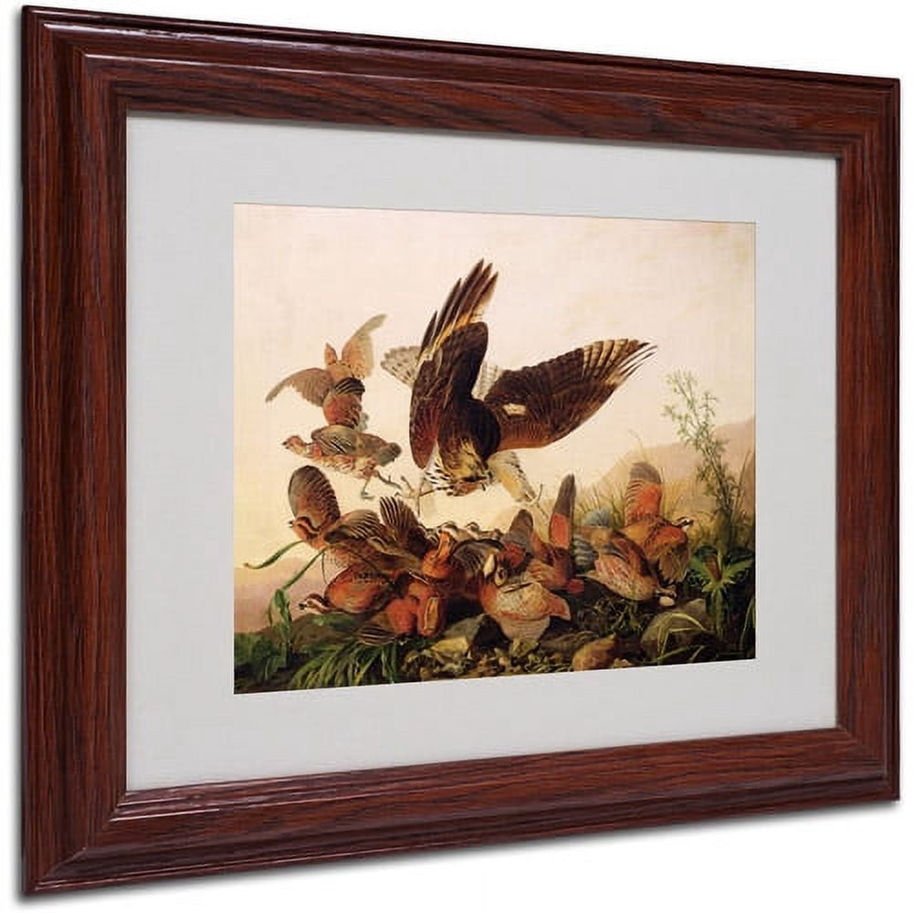 Trademark Fine Art "Red-Shouldered Hawk" Canvas Art by John James Audubon, Wood Frame
