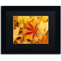 Trademark Fine Art "Red Star" Canvas Art by Philippe Sainte-Laudy Black Matte, Black Frame