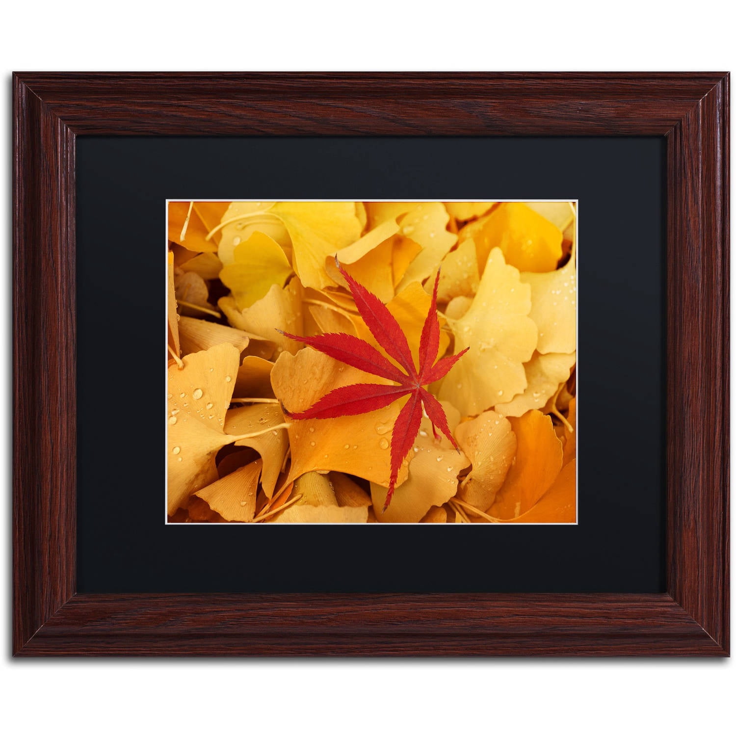 Trademark Fine Art "Red Star" Canvas Art by Philippe Sainte-Laudy Black Matte, Wood Frame