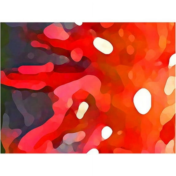 Trademark Fine Art "Red Sun" Canvas Wall Art by Amy Vangsgard