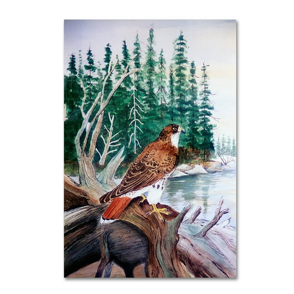 Trademark Fine Art 'Red Tailed Hawk' Canvas Art by Arie Reinhardt Taylor