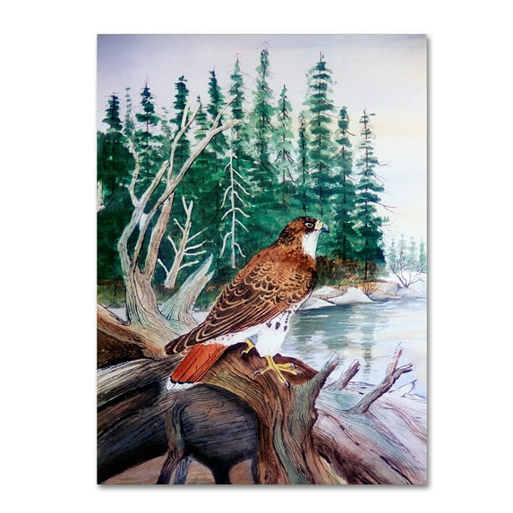 Trademark Fine Art 'Red Tailed Hawk' Canvas Art by Arie Reinhardt Taylor