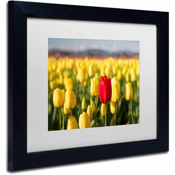 Trademark Fine Art "Red Tulip" Canvas Art by Pierre Leclerc, White Matte/Black Frame