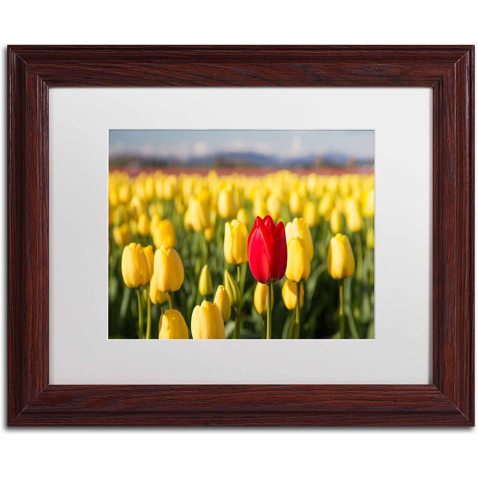 Trademark Fine Art "Red Tulip" Canvas Art by Pierre Leclerc, White Matte/Wood Frame
