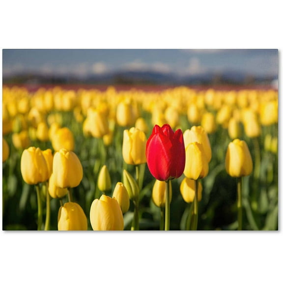 Trademark Fine Art "Red Tulip" Canvas Art by Pierre Leclerc