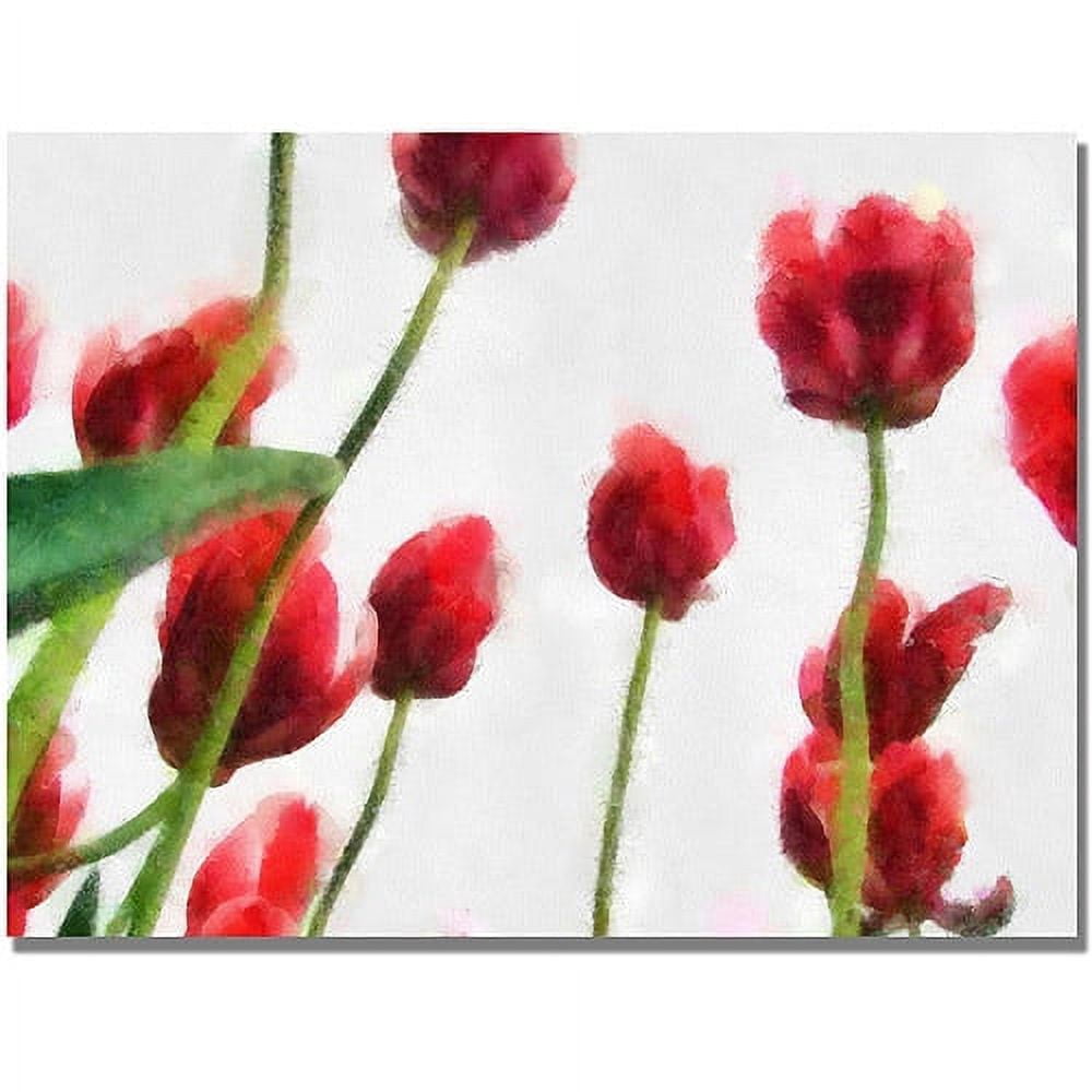 Trademark Fine Art "Red Tulips from Bottom Up II" Canvas Art by Michelle Calkins
