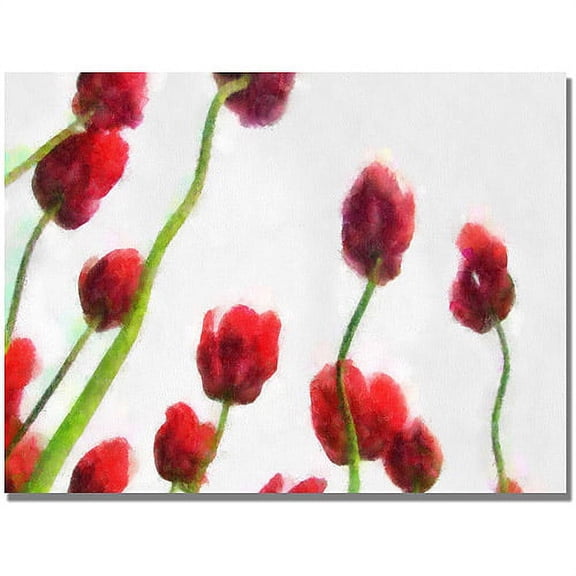 Trademark Fine Art "Red Tulips from Bottom Up IV" Canvas Art by Michelle Calkins