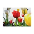 thumbnail image 1 of Trademark Fine Art 'Red White And Yellow' Canvas Art by Incredi, 1 of 2