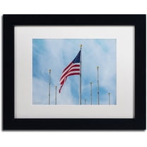 Trademark Fine Art "Red, White and Blue" Canvas Art by David Ayash White Matte, Black Frame
