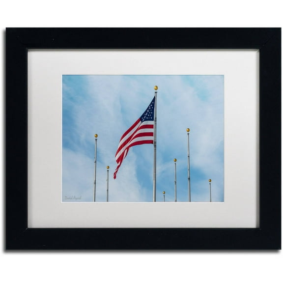 Trademark Fine Art "Red, White and Blue" Canvas Art by David Ayash White Matte, Black Frame